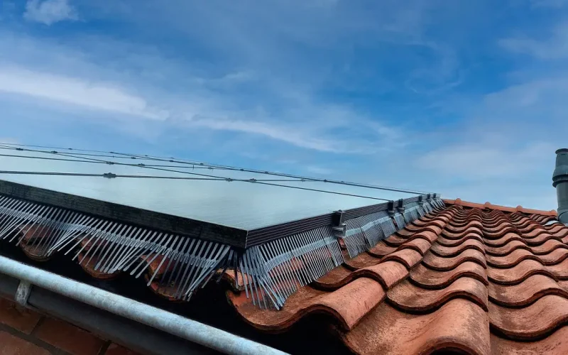 vogelwering-plaatsen